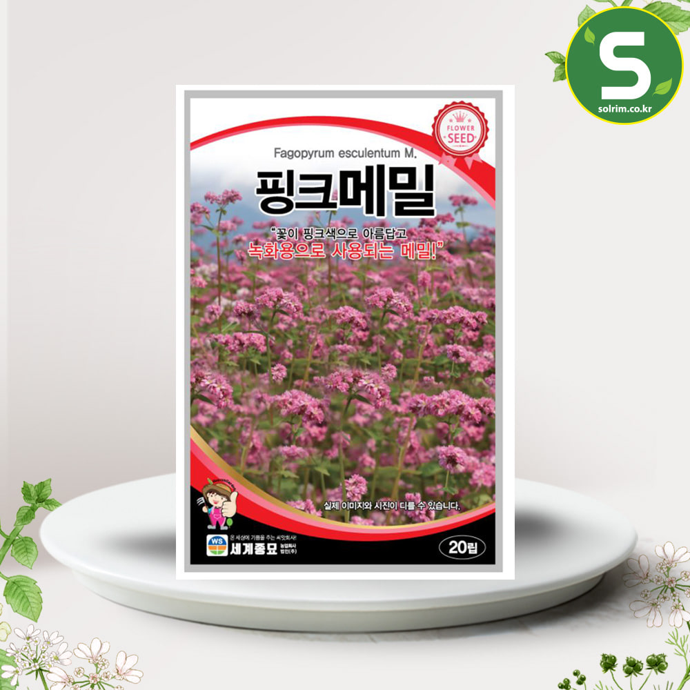 핑크메밀씨앗 50립 일년생 꽃씨앗 종자 핑크색 녹화용