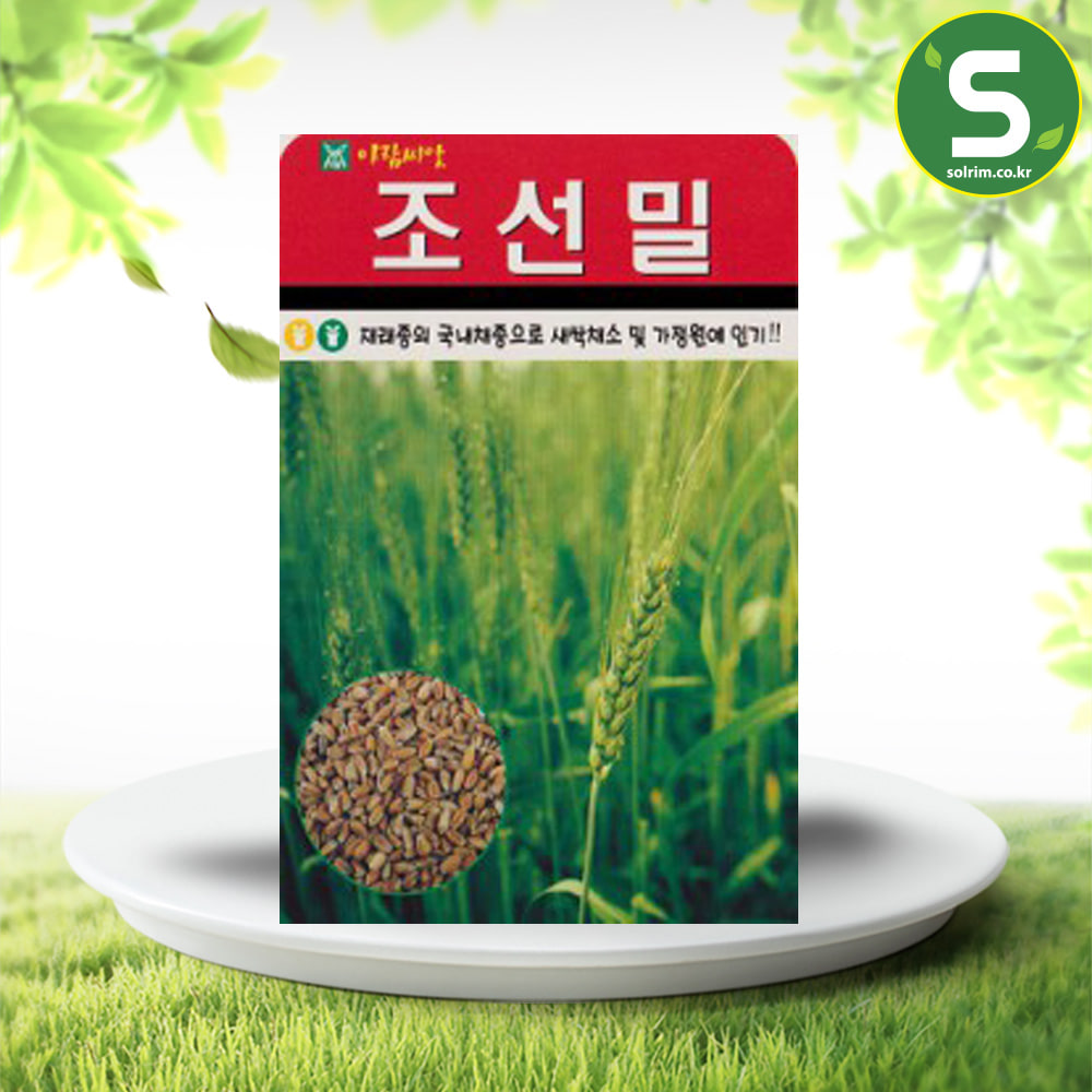 조선밀씨앗 30g 조선밀 재래종 국내채종 새싹채소