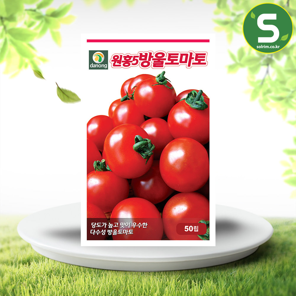 원홍5호방울토마토씨앗 50립 토마토씨앗 방울토마토