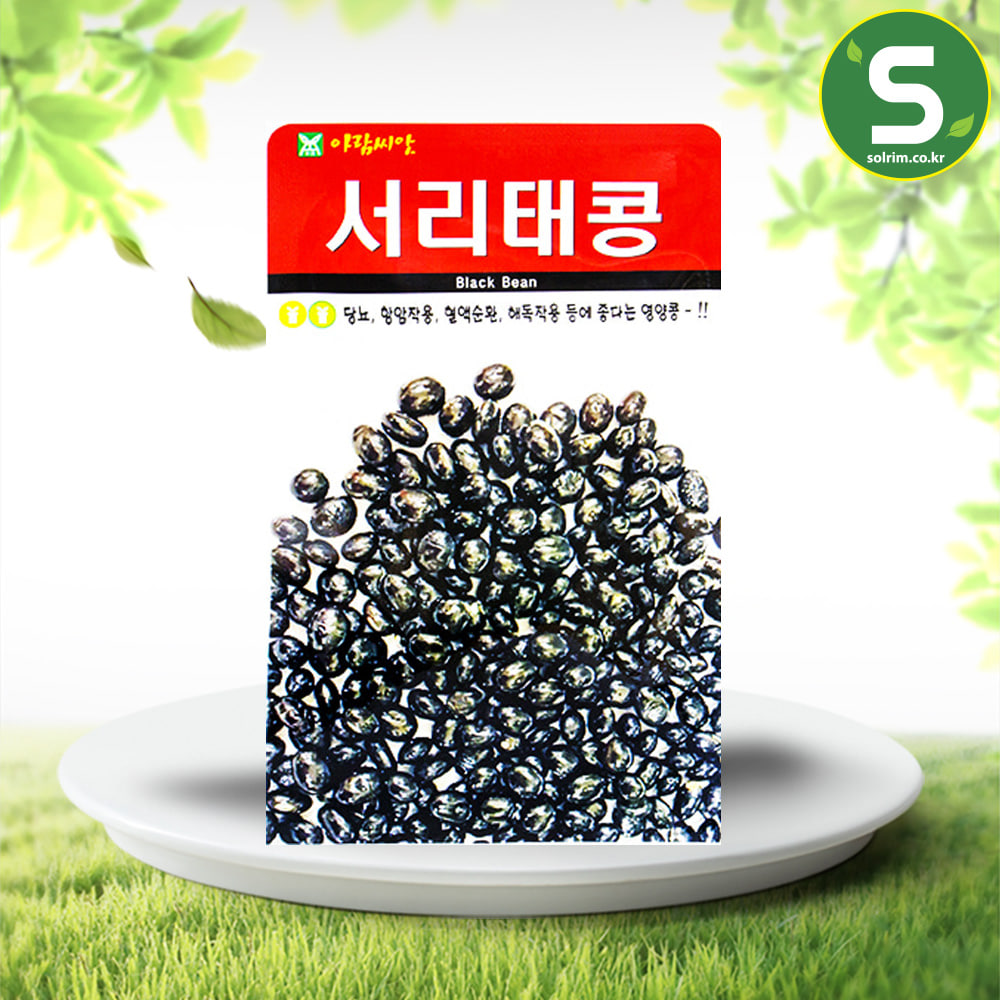 서리태콩씨앗 30g 서리태콩 검은콩 재래종 콩씨앗
