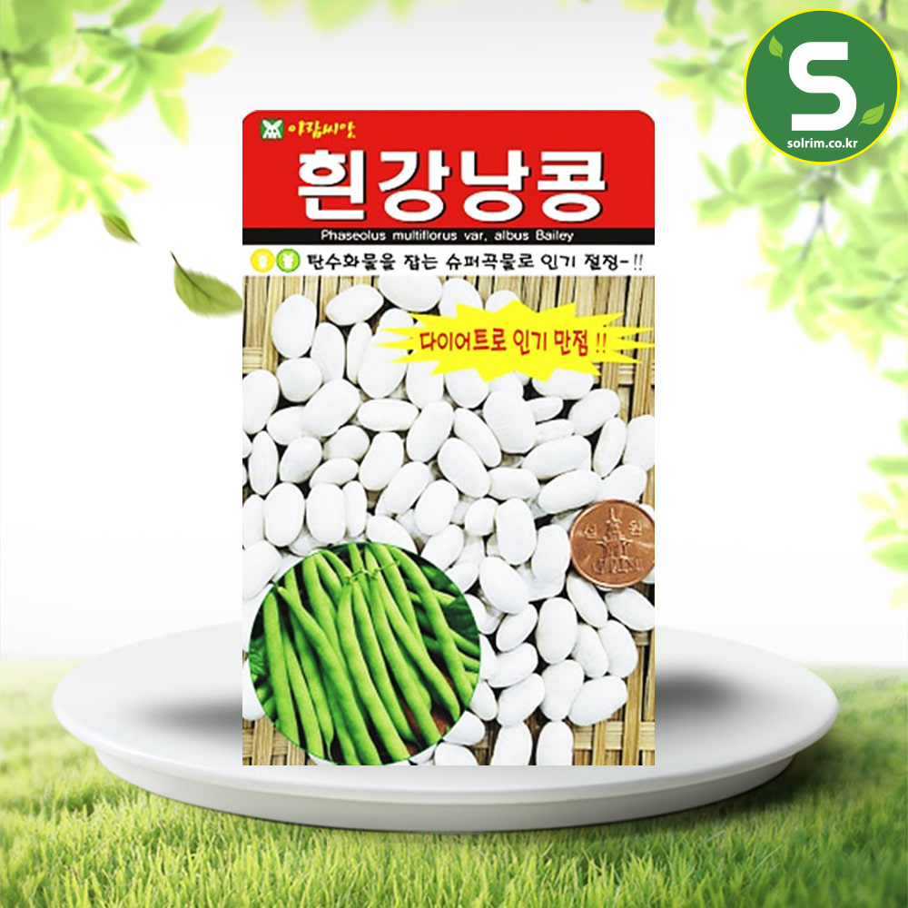 흰강낭콩씨앗 30g 강낭콩씨앗 콩씨앗 슈퍼곡물