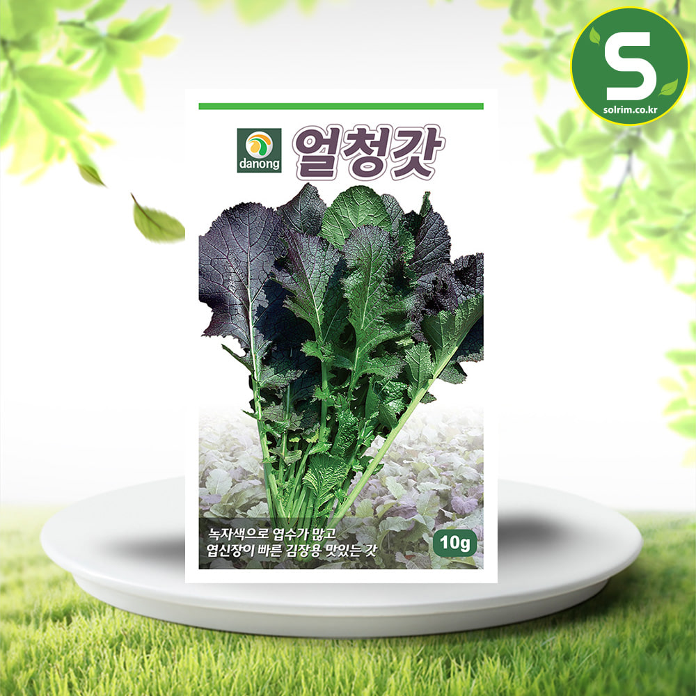 얼청갓 씨앗 10g 녹자색 내한성 갓씨앗 김장용 종자