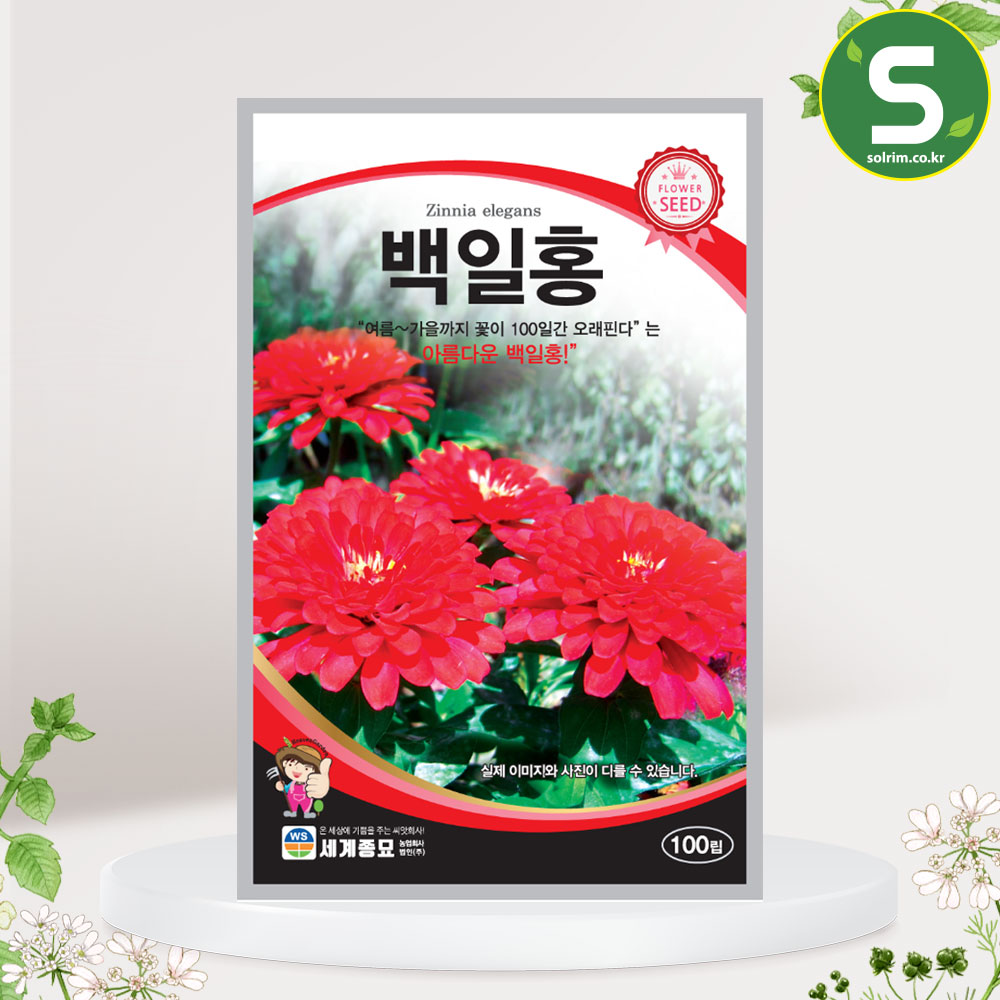 백일홍 100립 꽃씨앗 혼합종 한해살이풀 국화과