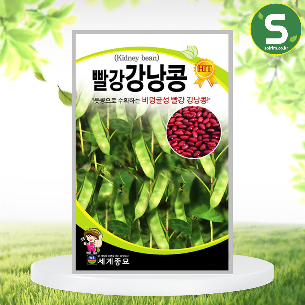 빨강강낭콩 30g 강낭콩씨앗 비넝쿨성 토종재래종 품종