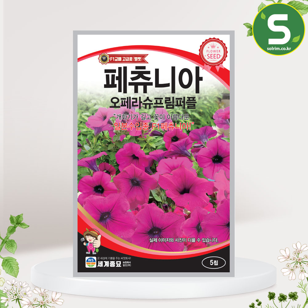 페츄니아 오페라슈프림퍼플 5립 꽃씨앗 일본 수입종