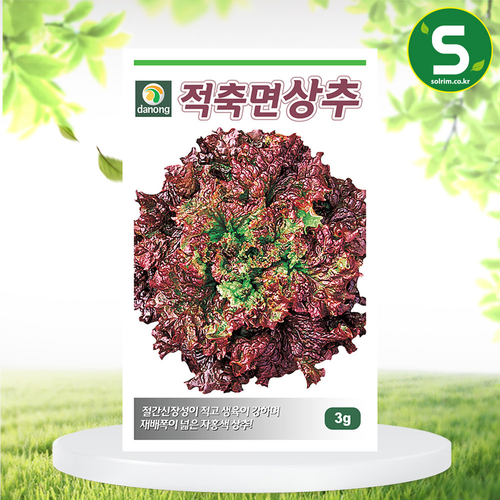 상추 종자 꽃섬적축면상추 씨앗 3g 자홍색 추대 늦음