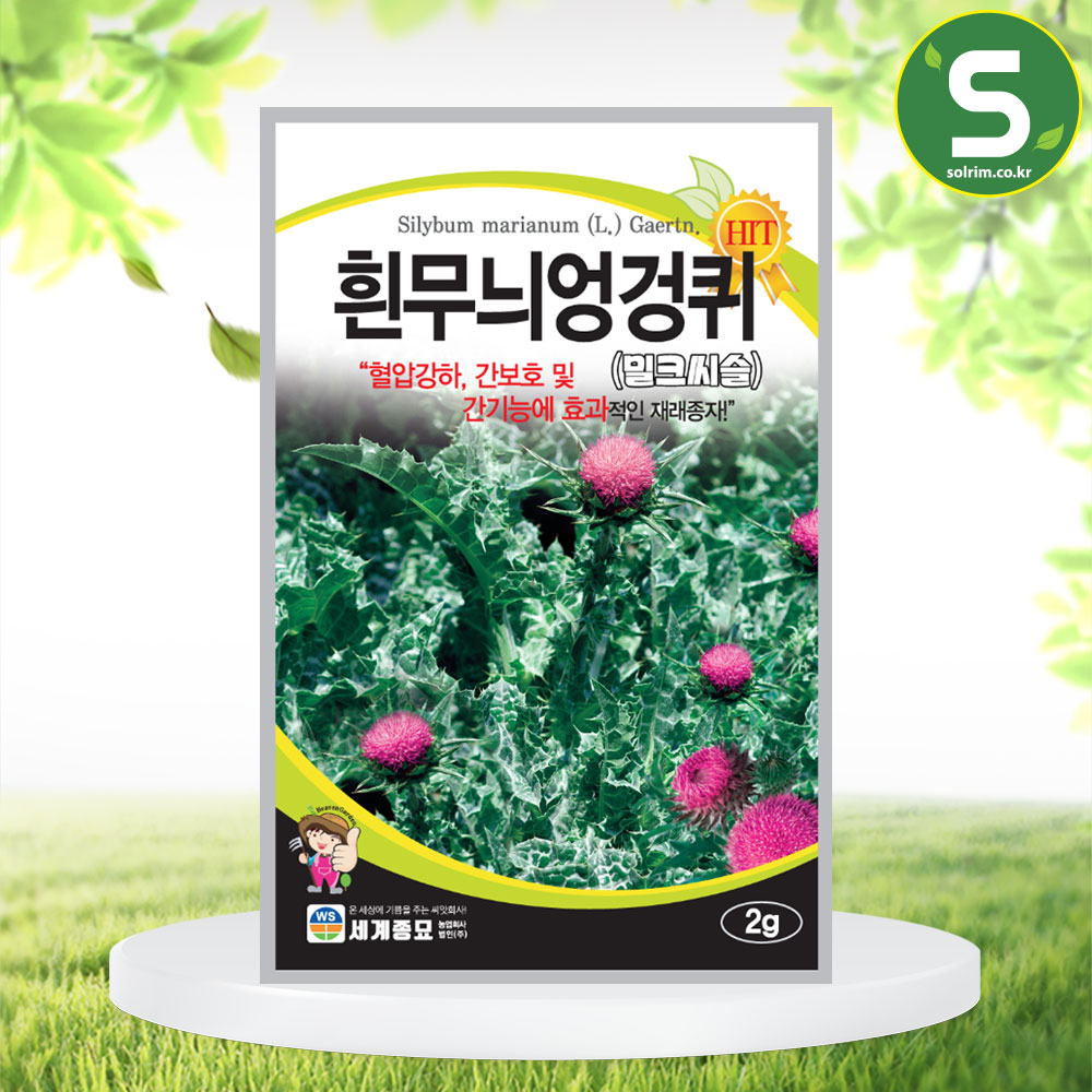흰무늬엉겅퀴 2g 밀크씨슬 씨앗 간보호 간기능 효과