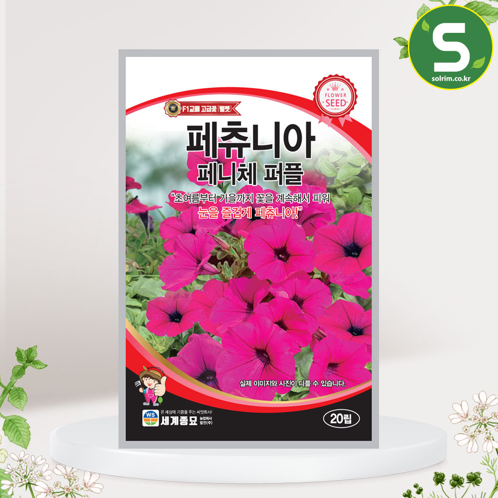 페츄니아 페니체 퍼플 20립 꽃씨앗 일년생 실내 월동