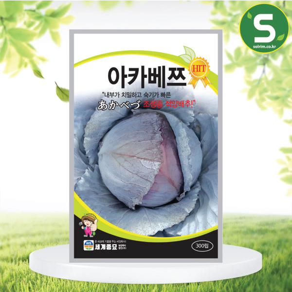 아카베쯔 300립 양배추씨앗 조생종 적양배추